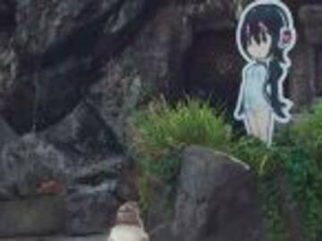 Muere Grape, el pingüino que se enamoró de una caricatura