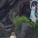 Muere Grape, el pingüino que se enamoró de una caricatura