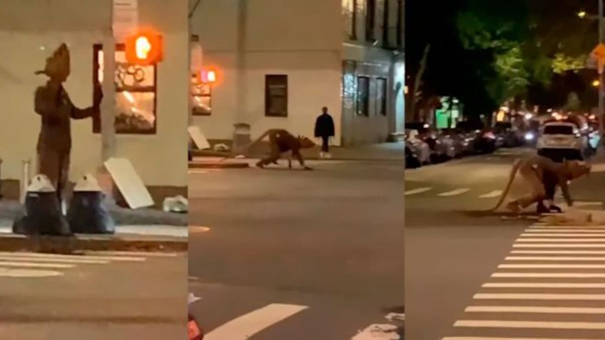Se disfraza de rata y pasea por las calles de New York