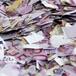 Mujer de 85 años antes de morir destruye casi un millón de euros en billetes