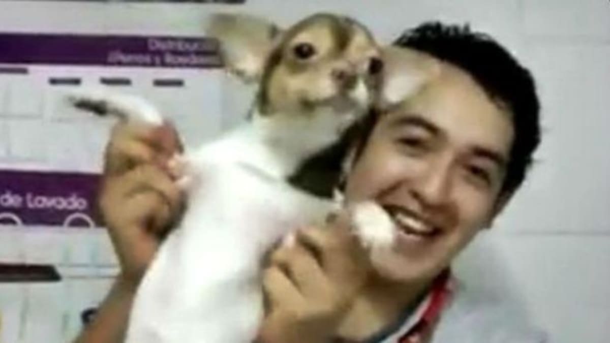 ¡Ex empleado de Maskota se disculpa!