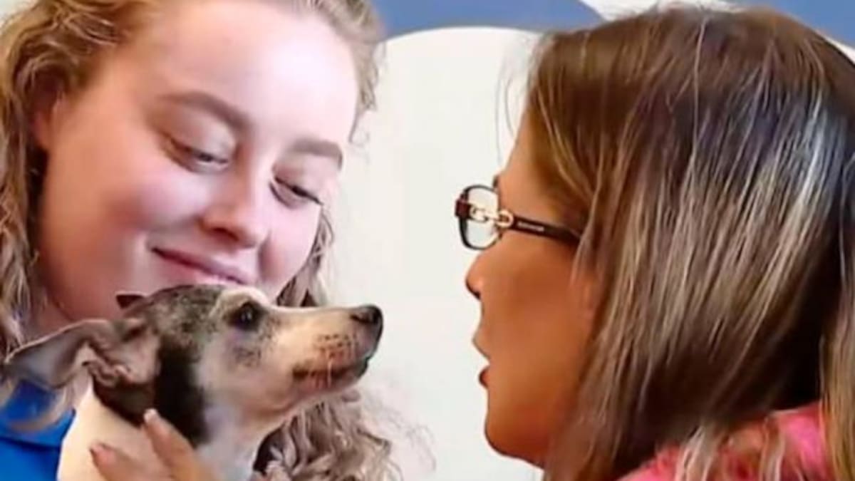 Mujer perdió a su perrita y la encontró 12 años después