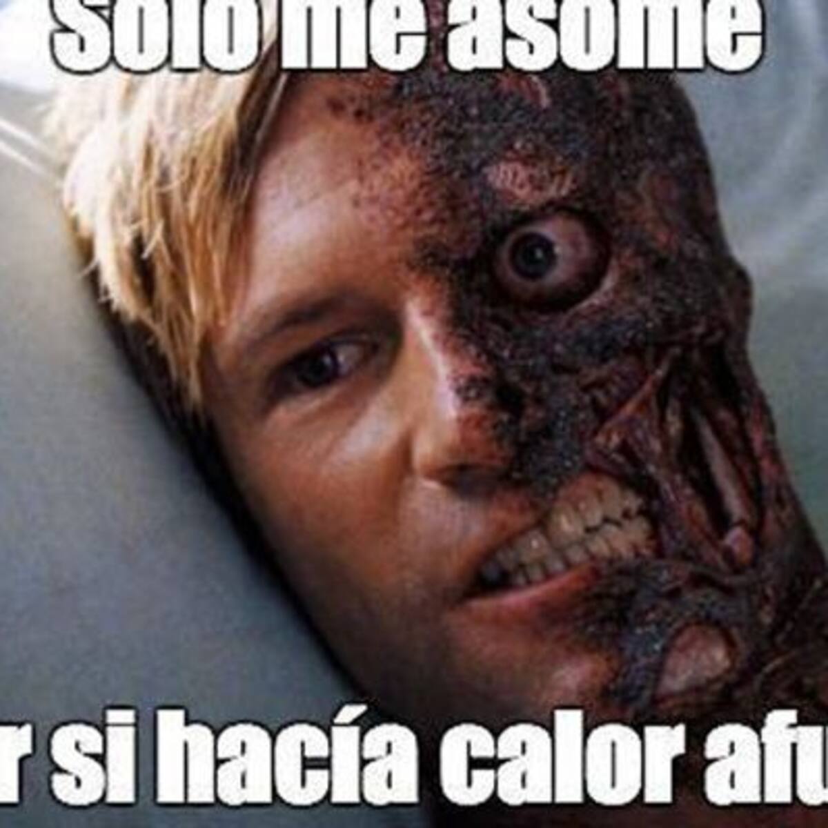 Los mejores memes para combatir este calor