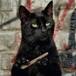 Gato callejero es sospechoso en un "intento de asesinato"