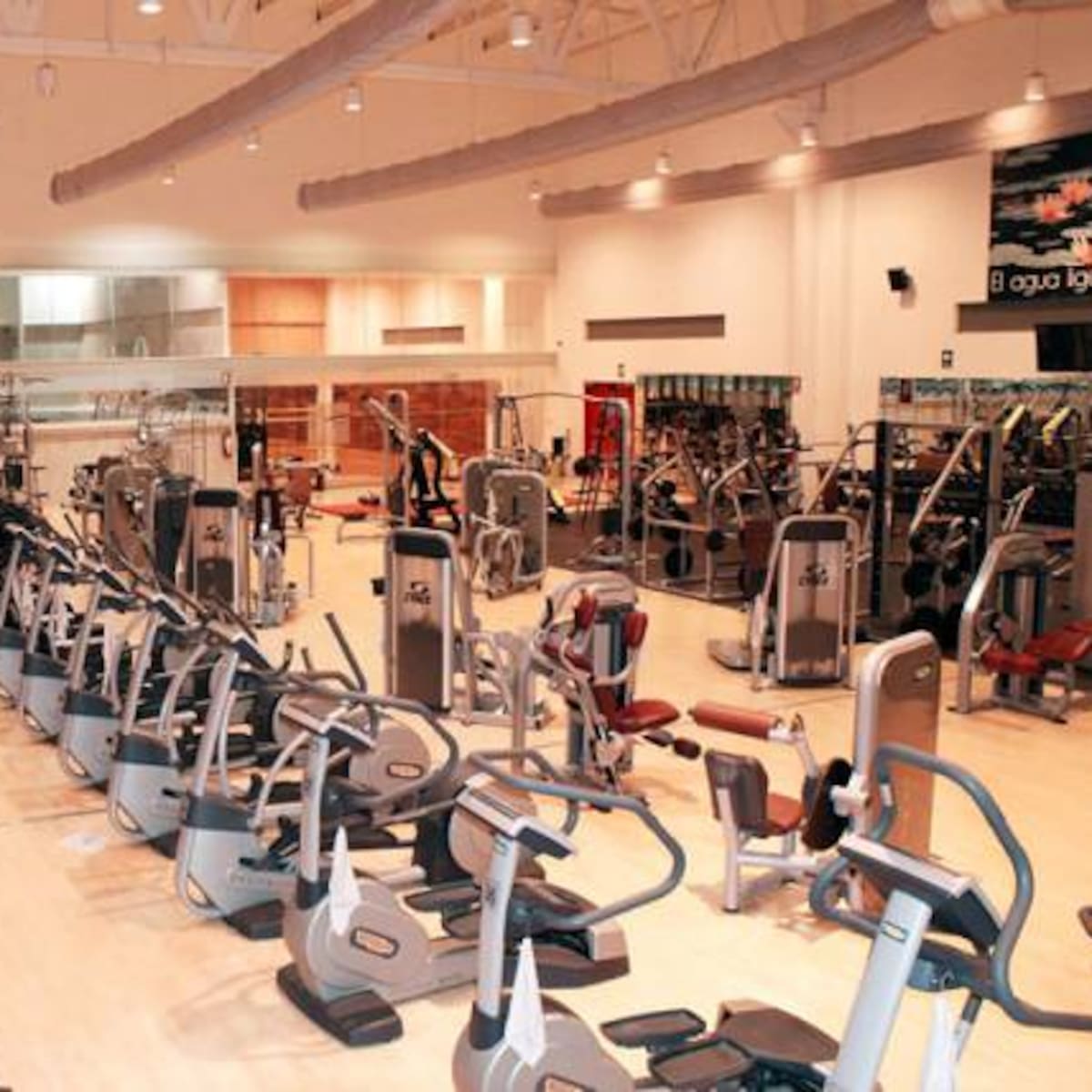 #NegociosSinFuturo: Un gimnasio con los consejos del Estaca