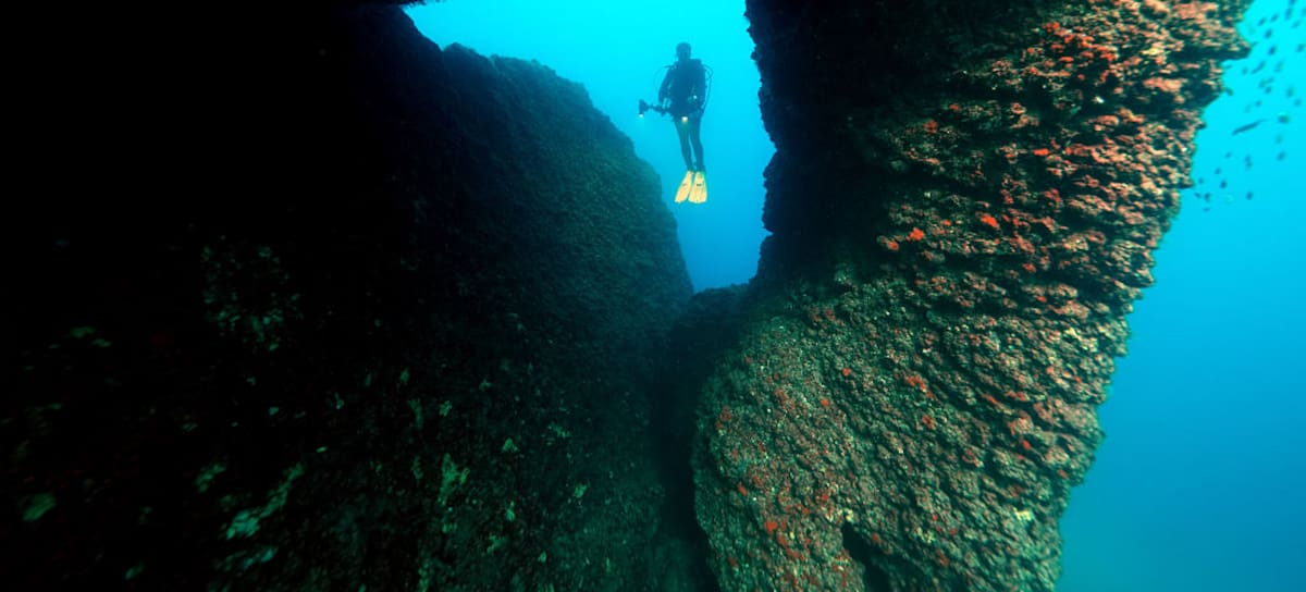 Muere influencer de buceo a los 36 años