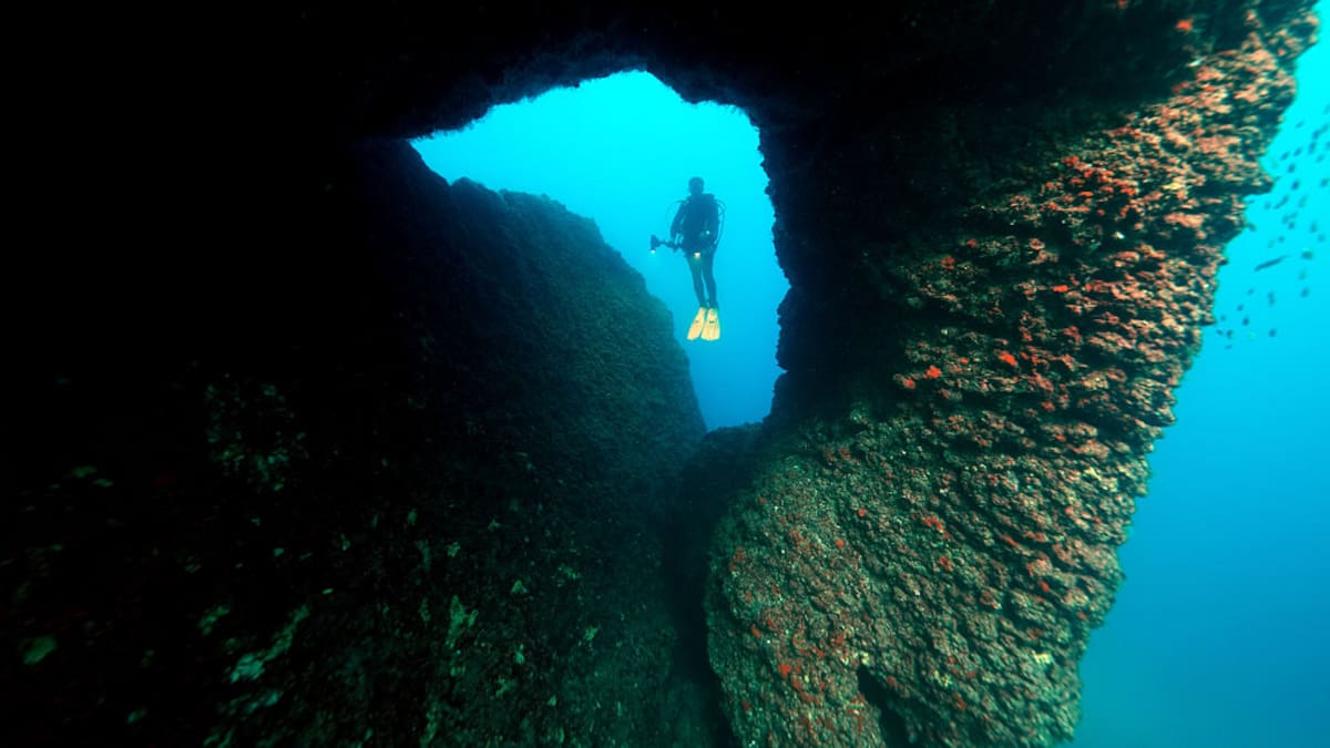 Muere influencer de buceo y defensora de los océanos a los 36 años