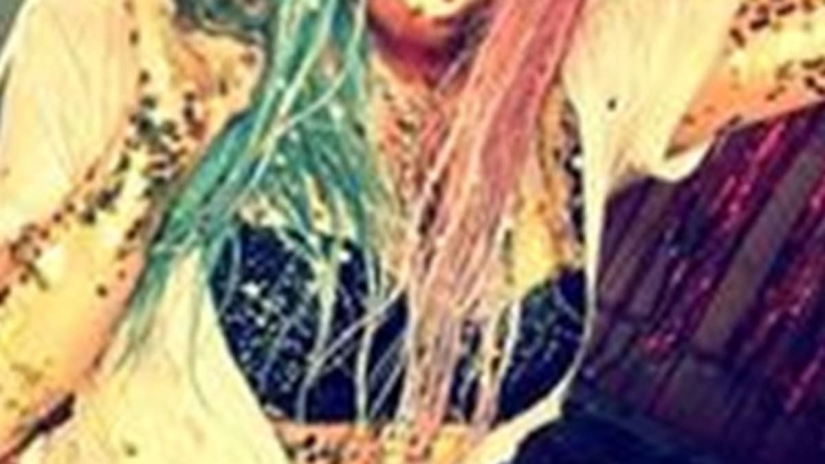 Kesha estrena tema enseñando carne en Instagram