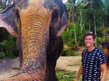 Un elefante le roba el móvil y hace un selfie viral