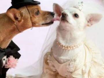 Increíble pero cierto; boda terminó en megaconcierto