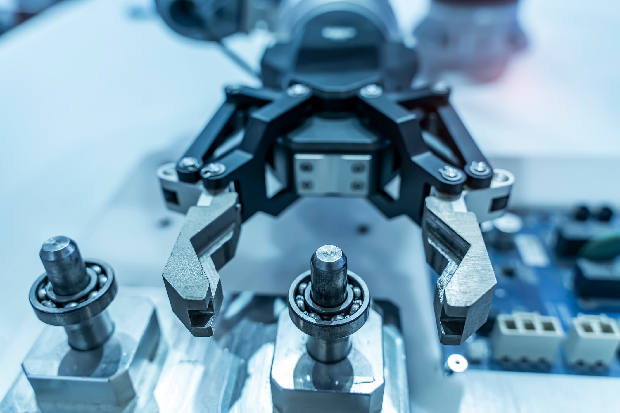 Bot formado por células vivas