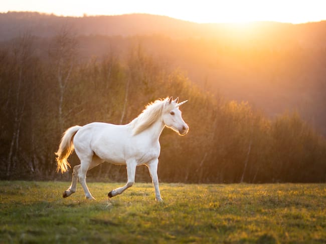 Razones por las que se celebra el Día del unicornio