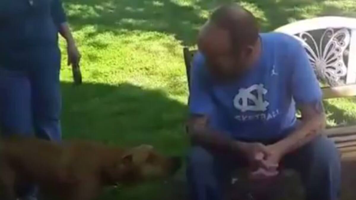 Perrito no reconoce a su amo porque adelgazó