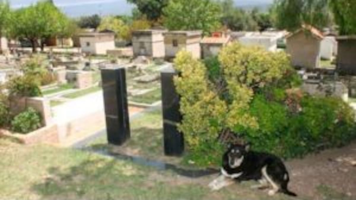 Así como en Hachiko, perro muere en la tumba de su dueño
