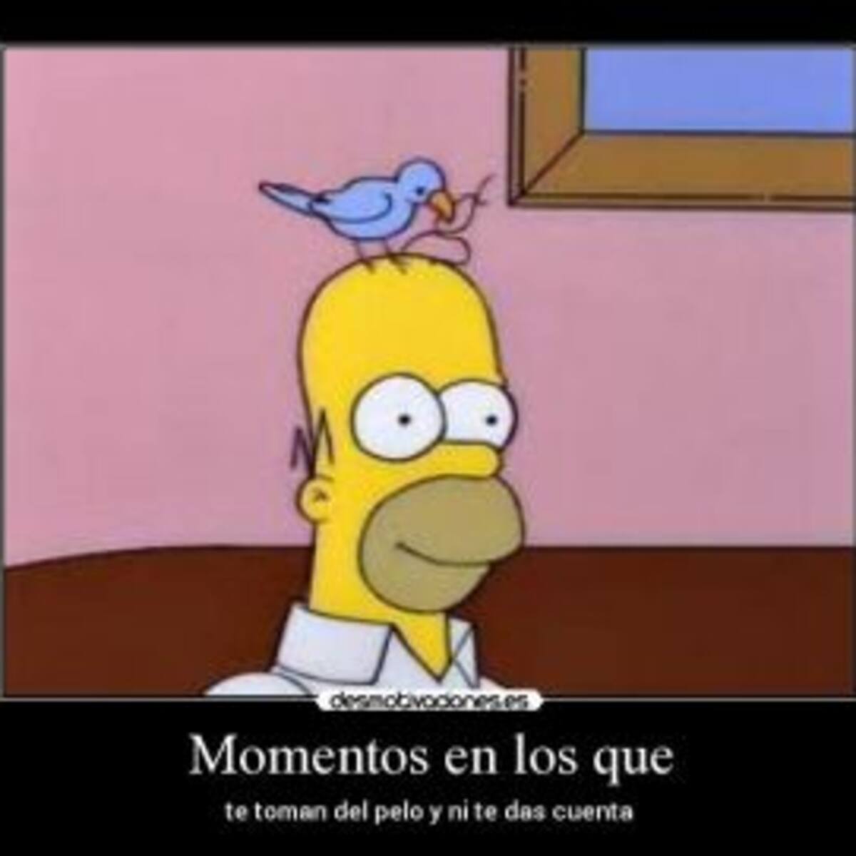 Me Tomaron El Pelo...