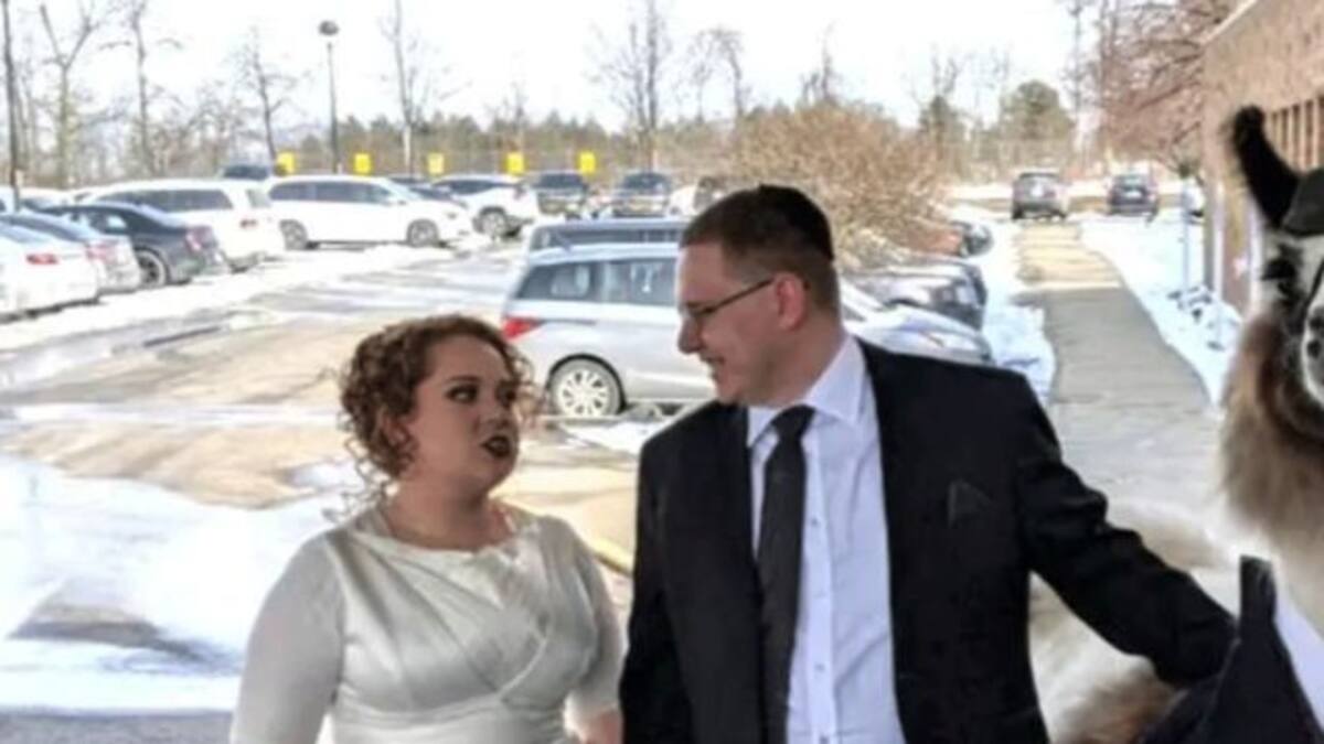 Llegó a la boda de su hermana acompañado de una llama