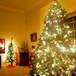 Esta es la manera correcta de colocar las luces del árbol de navidad