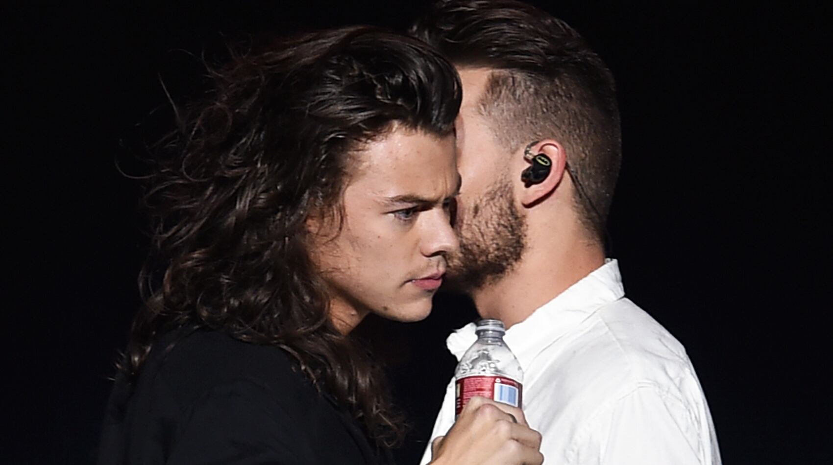 Harry Styles y Liam Payne, juntos en 2015.