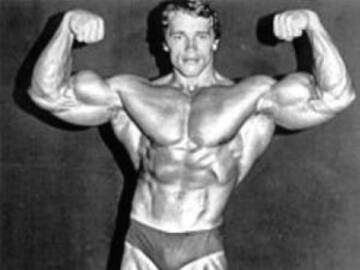 Nombran a mosca como Schwarzenegger