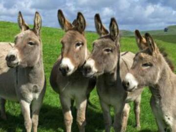 #Top Ten: Frases De Un Seductor