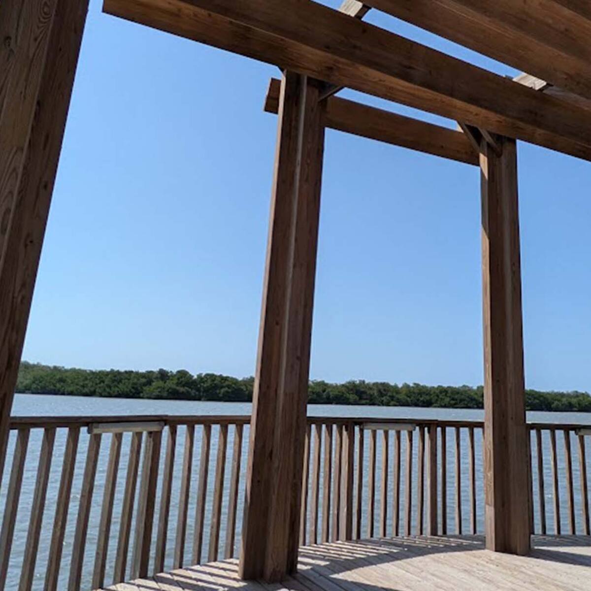 Un pulmón verde frente al Caribe: El renacer de la Ciénaga de Mallorquín, impresiones del lugar