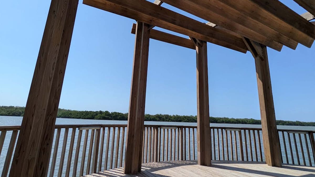 Un pulmón verde frente al Caribe: El renacer de la Ciénaga de Mallorquín, impresiones del lugar