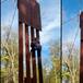 Escala el muro de Trump: niña demuestra que no es imposible