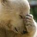 #Top Ten: #Pena ajena cuando…