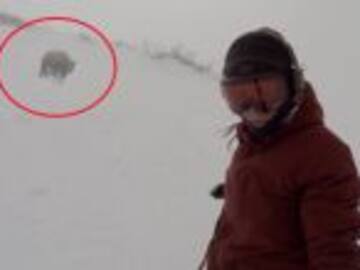 Videos virales que en realidad eran falsos