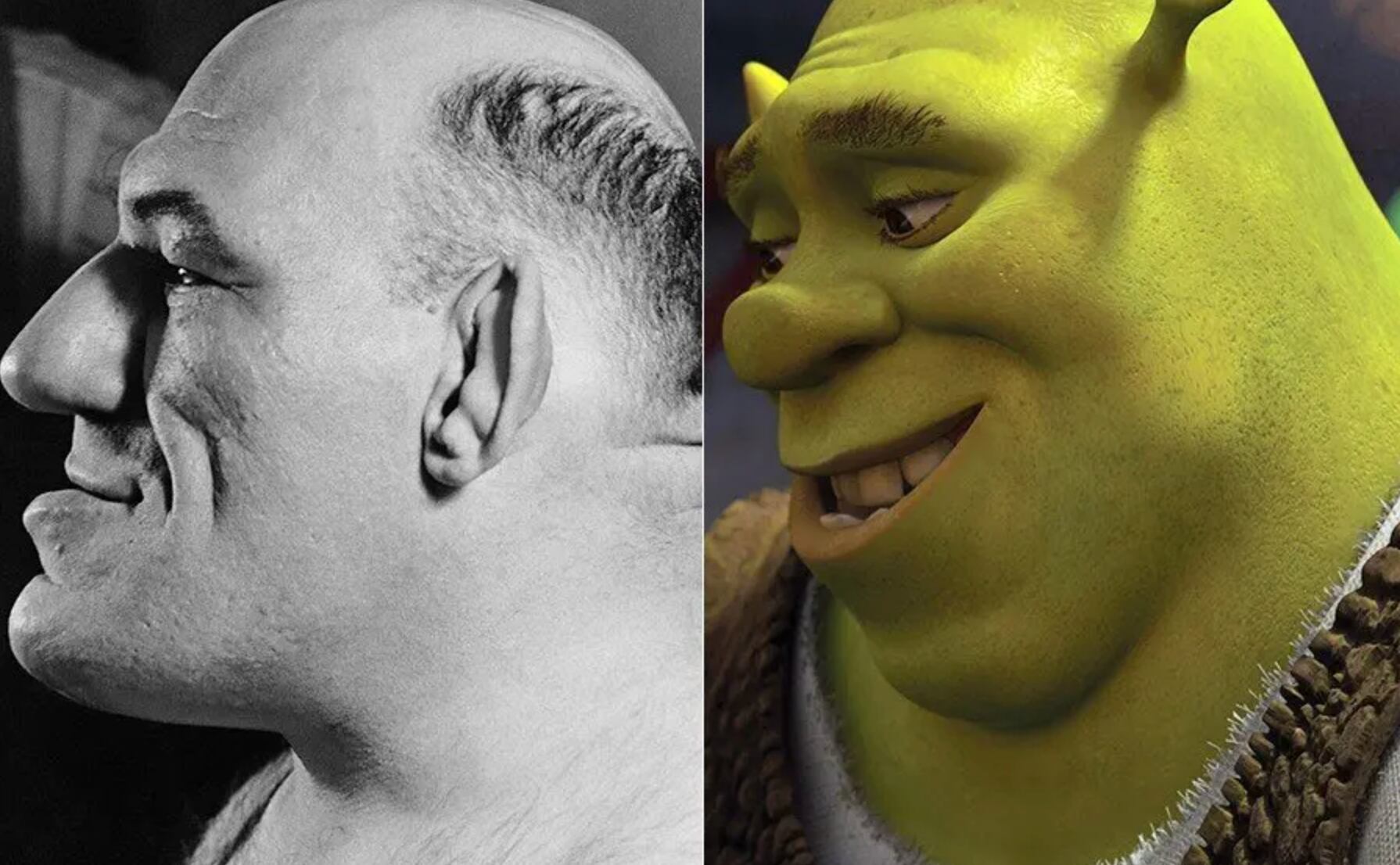 Maurice Tillet-Shrek