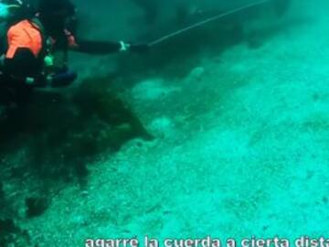 Buzo rescata a un tiburón