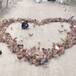 Le declara su amor con un corazón hecho de pollos