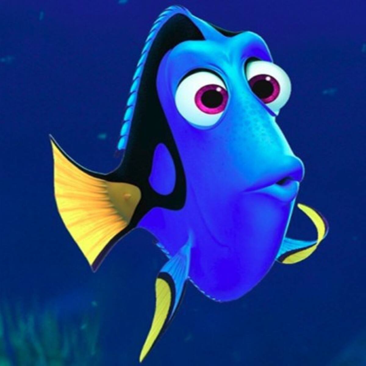 ¡Conoce a los nuevos personajes de Buscando a Dory!