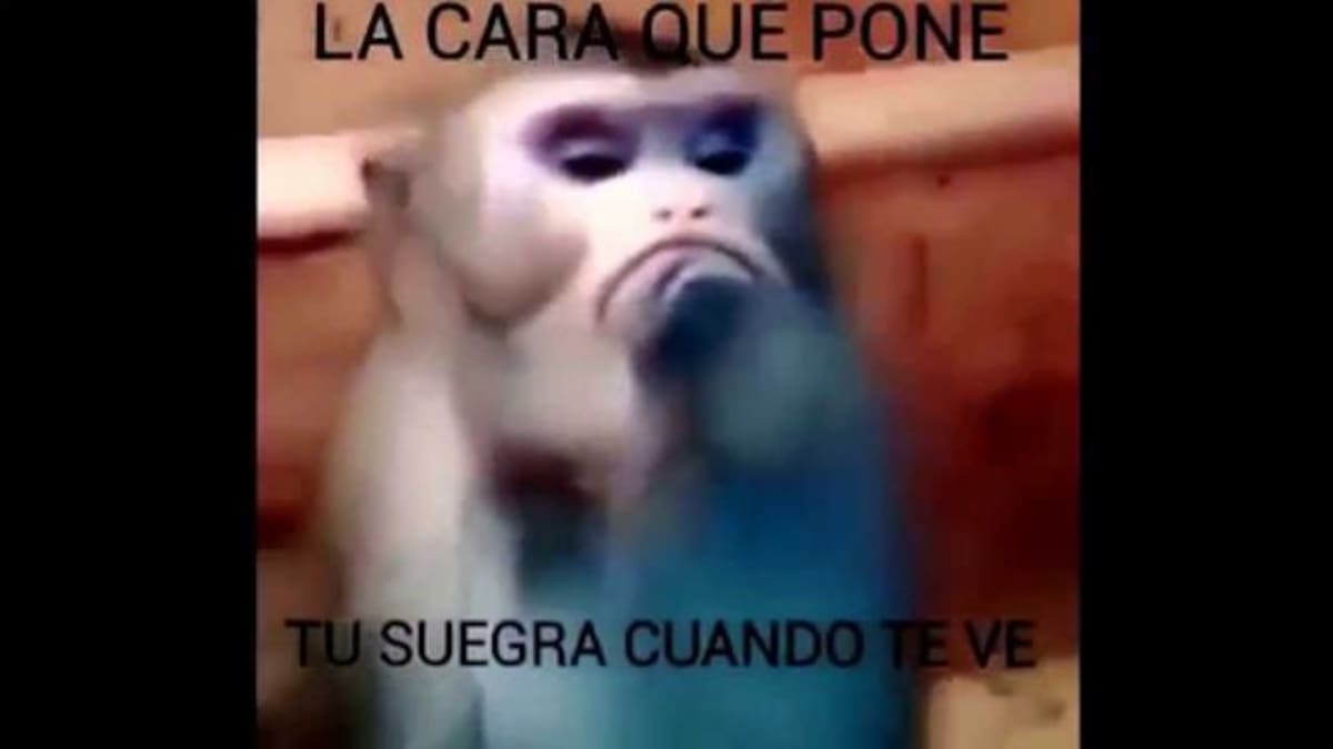 #TopTen Apodos Para Suegra