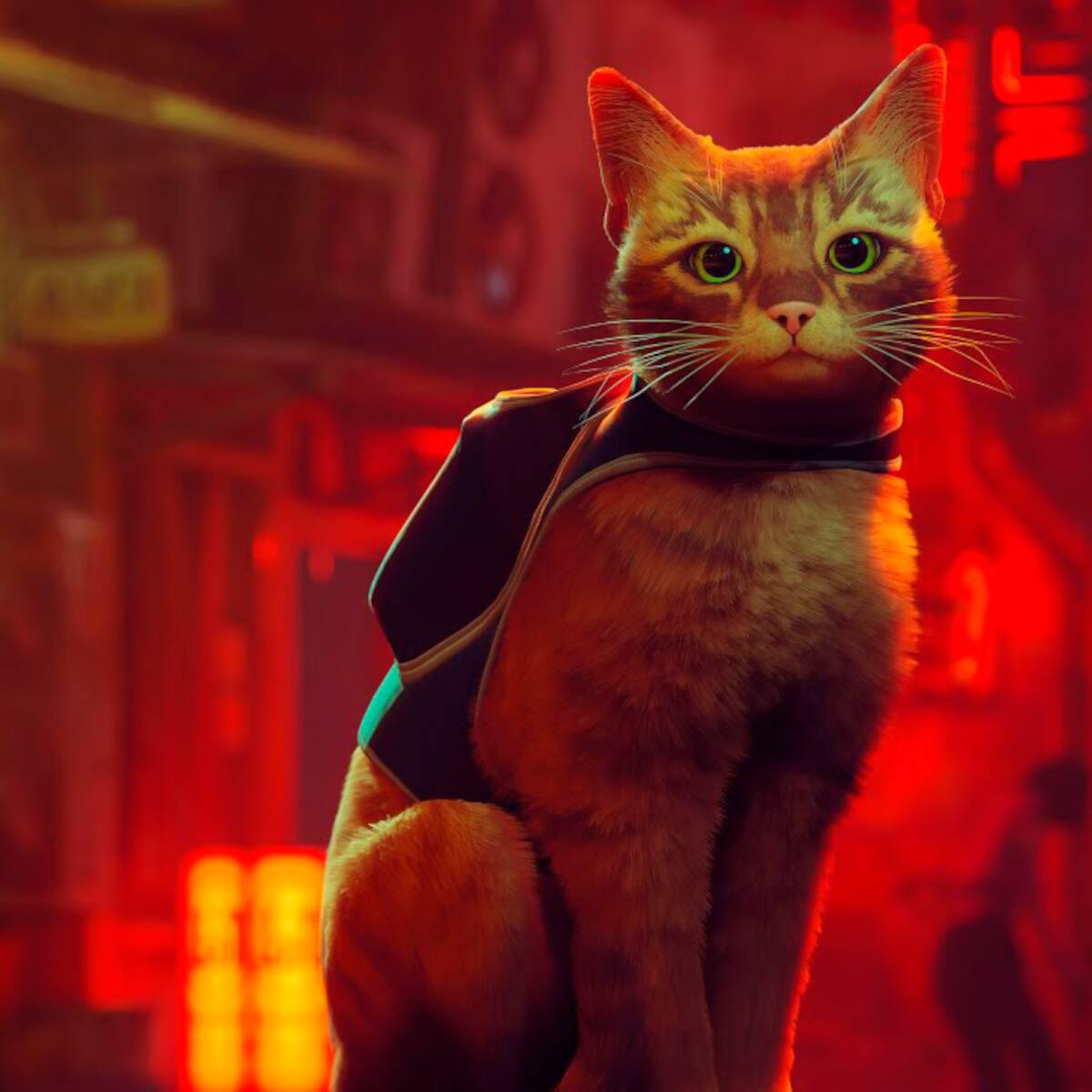 Stray: El mejor homenaje interactivo para celebrar el Día Internacional del Gato