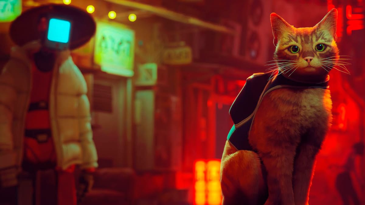 Stray: El mejor homenaje interactivo para celebrar el Día Internacional del Gato