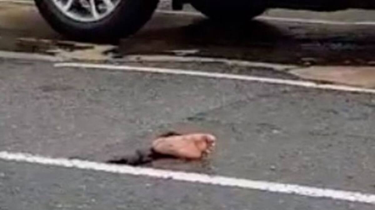 Pie falso dejado en la calle asusta a todos