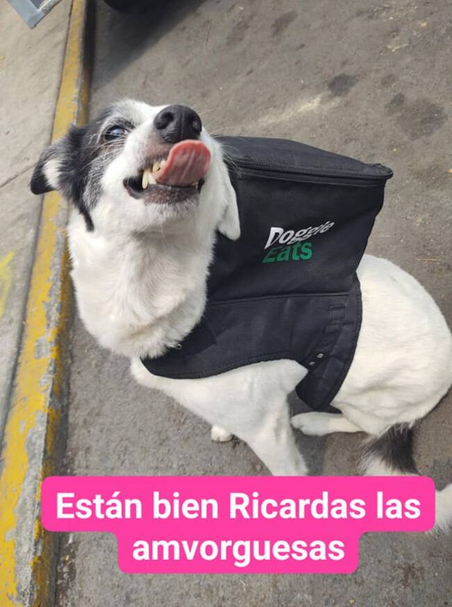 Any, la repartidora de comida que se hizo viral