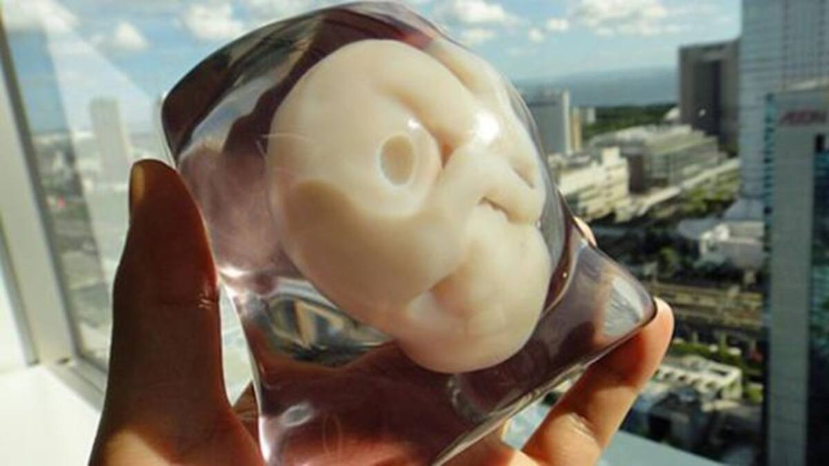 Impresiones 3D de embriones