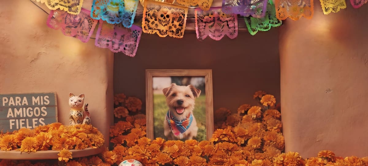 El 27 de octubre, las almas de nuestras mascotas regresan para acompañarnos en nuestras ofrendas.