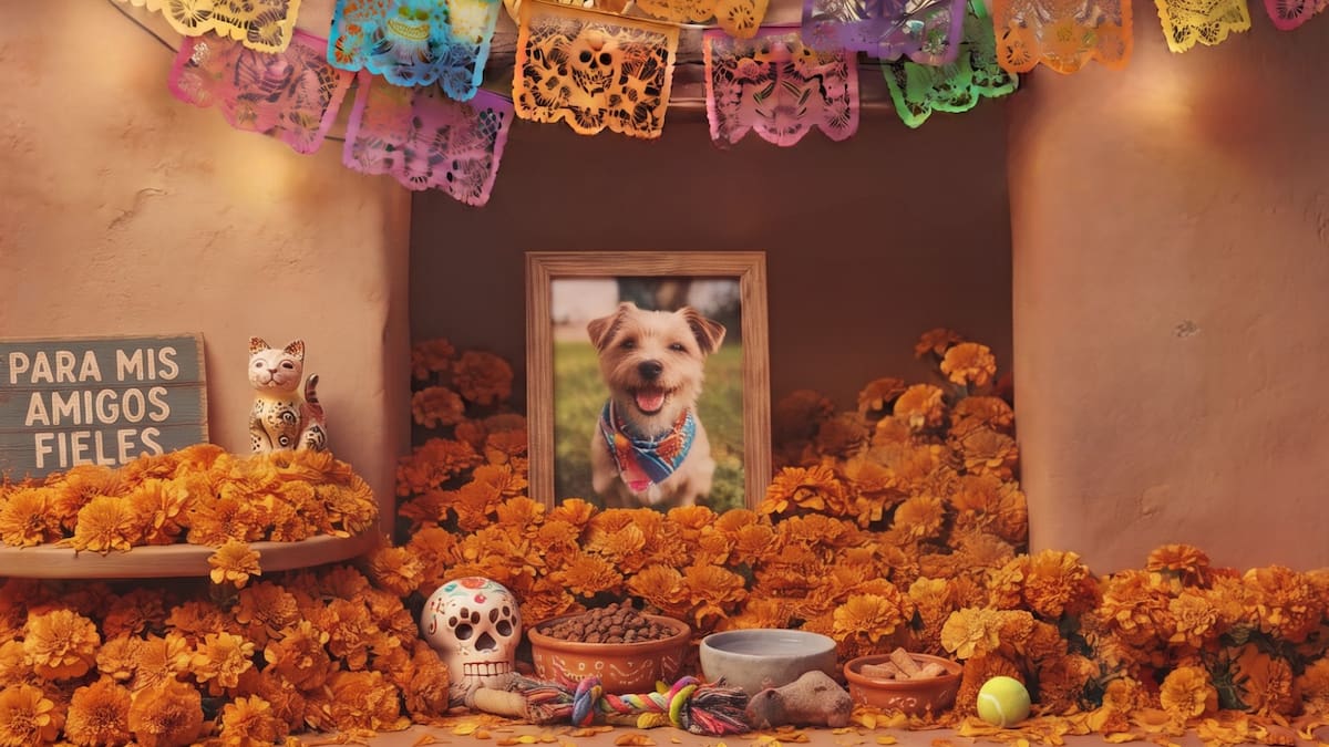 Día de Muertos: ¿Cuándo poner la ofrenda para recordar a nuestras mascotas?