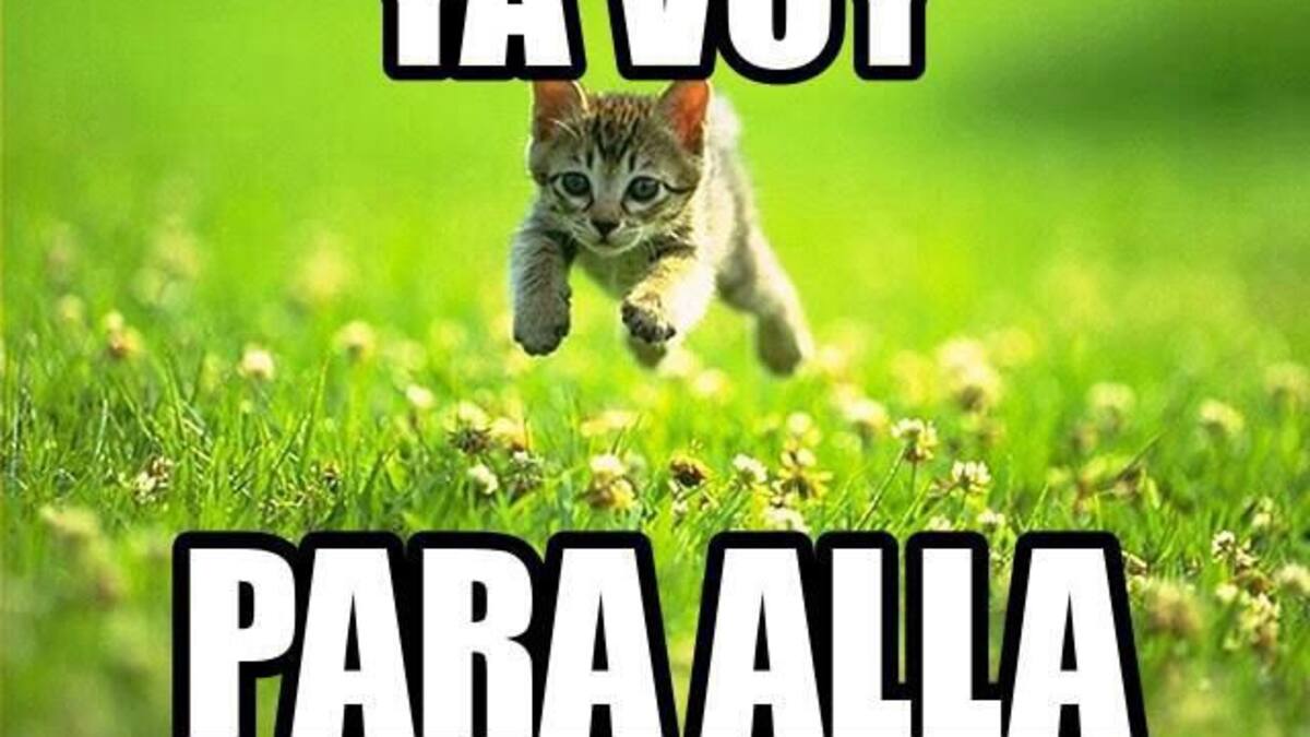 #Top Ten: #Quien No Ha Dicho…