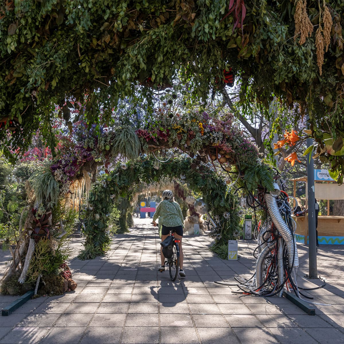 El Festival de Flores y Jardines 2026 celebrará la identidad de México en Polanco