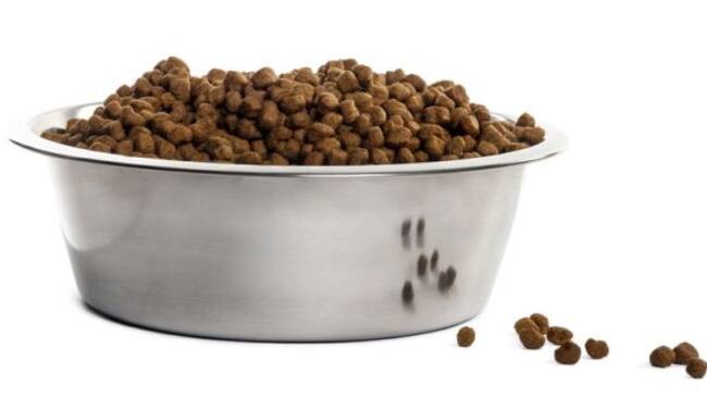 Él hombre no tiene dinero para alimento normal