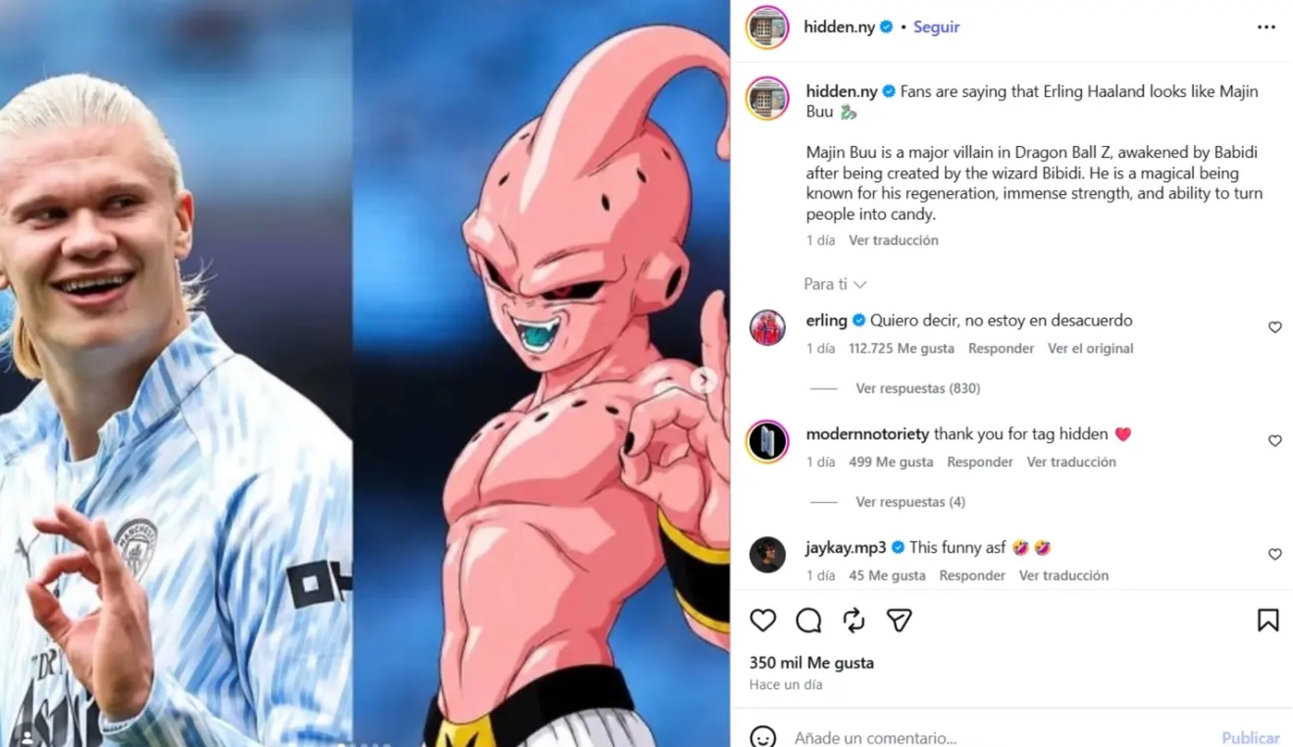Erling Halend comparaciones con Majin Bou