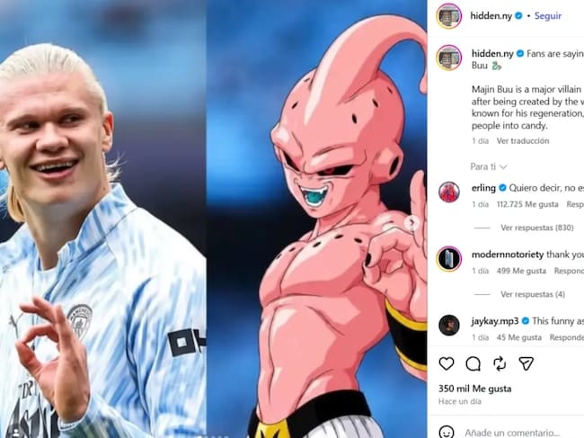 Erling Halend comparaciones con Majin Bou