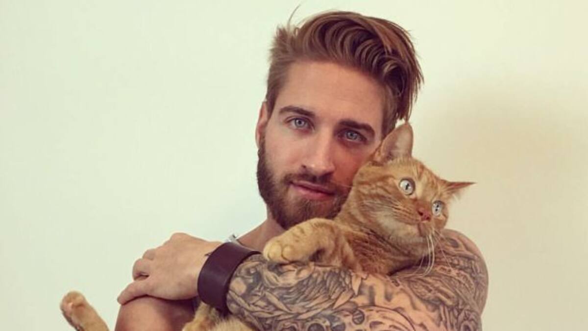 El gatito que entrena a un sexy modelo