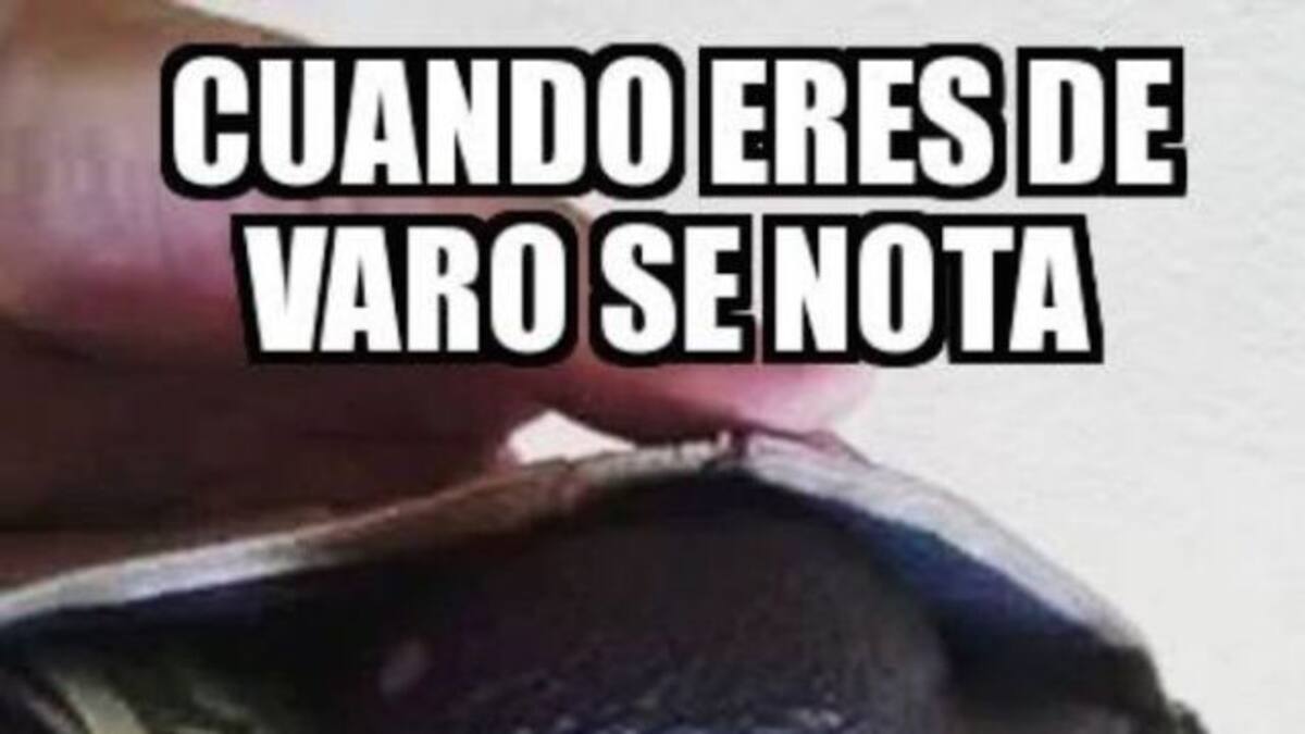 Los mejores memes del caos del aguacate