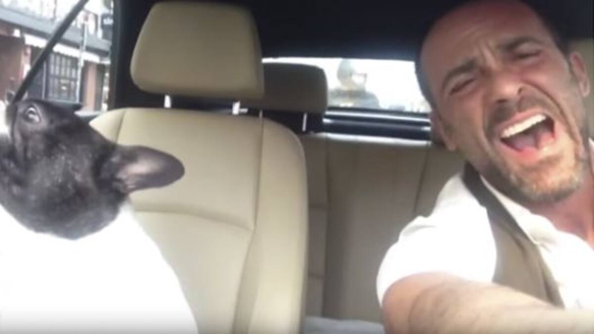 Perro canta a dueto con su dueño rola de Rihanna