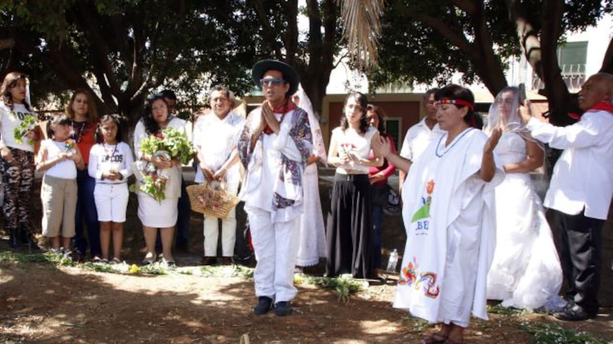 "Boda" masiva de personas con árboles